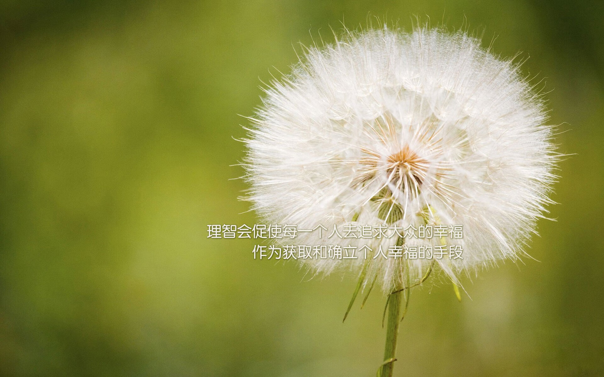 AYX体育官网-骑士与主场周边商户合作推出“城市篮球嘉年华”，骑士主场球馆