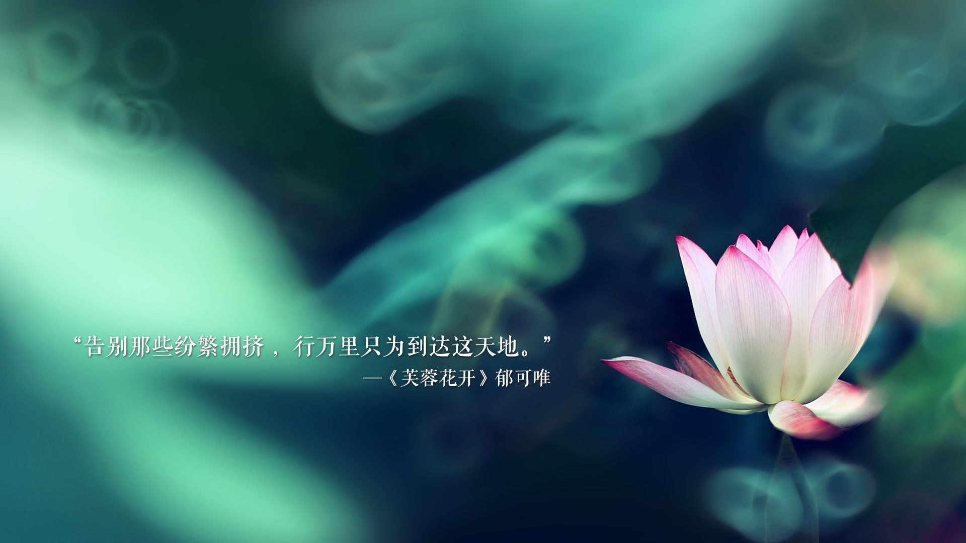 爱游戏体育（AYX）官方APP下载-CBA联赛市场开发策略，cba运作模式