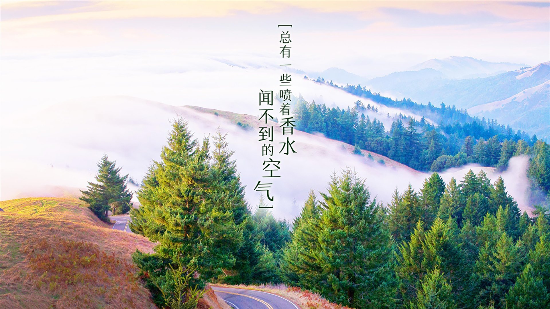 爱游戏平台-RNG战队启动心理素质提升专项训练计划，rng心里辅导师