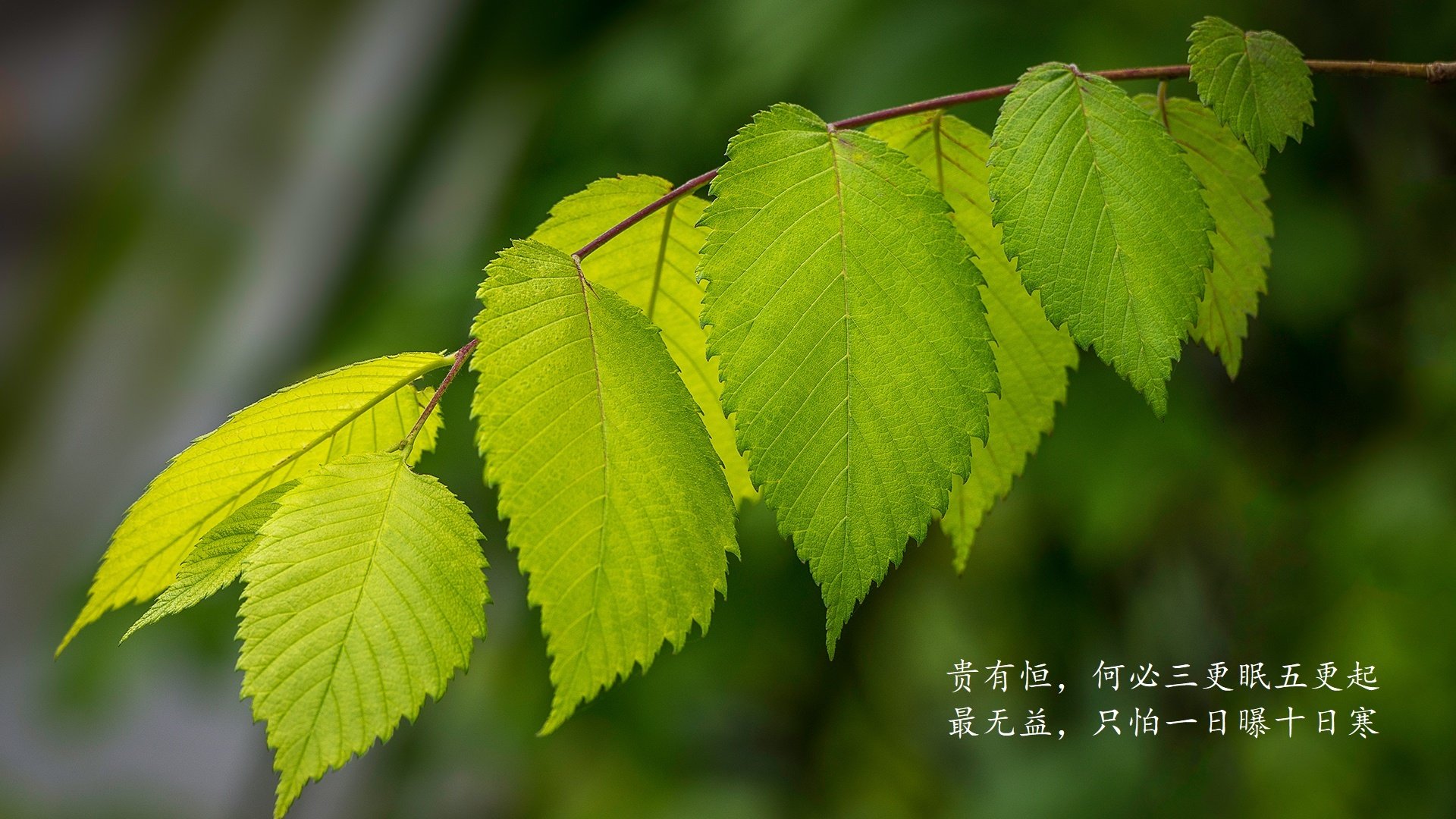 PSG连续多场比赛取胜，psg哪个赛区的战队