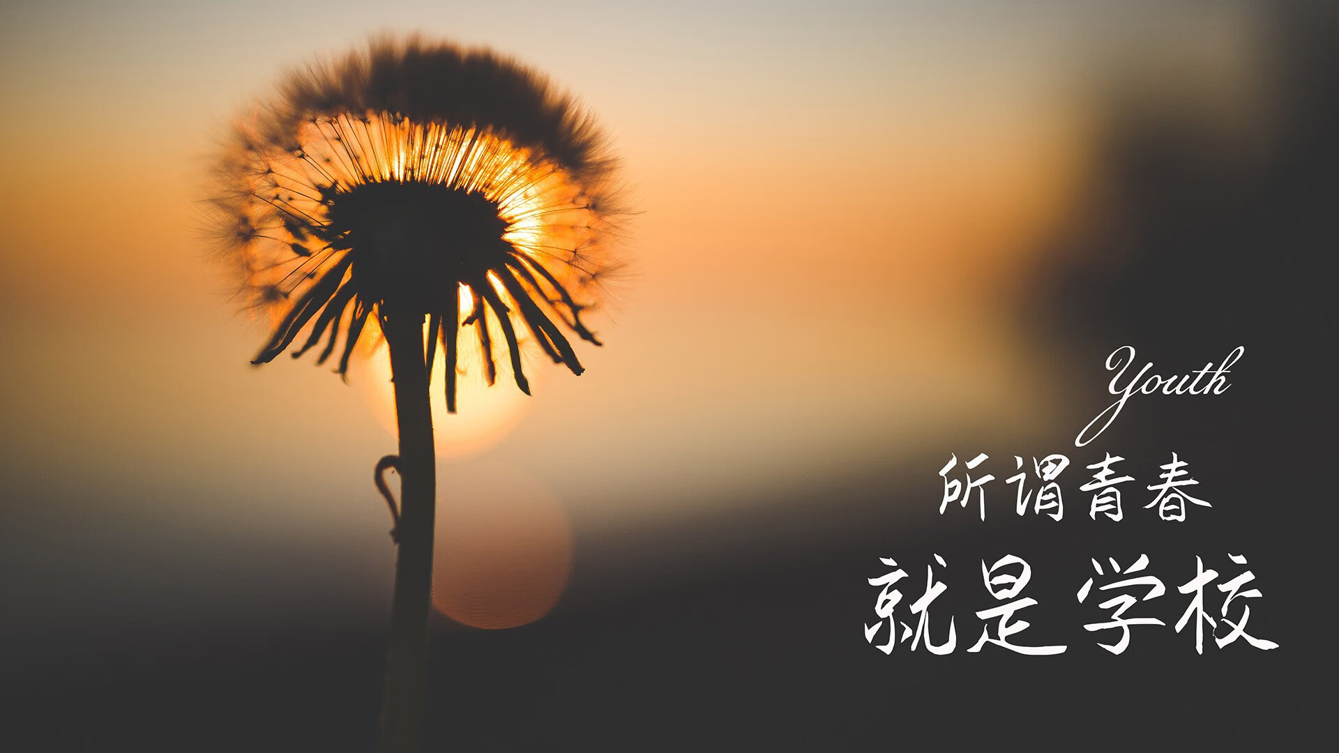 爱游戏娱乐网址-电竞主播直播间粉丝互动与情感连接构建方法研究，主播和粉丝互动的话题有哪些