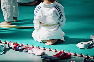 爱游戏 电竞-全国青少年武术套路锦标赛精彩绝伦，全国青少年武术套路锦标赛精彩绝伦视频