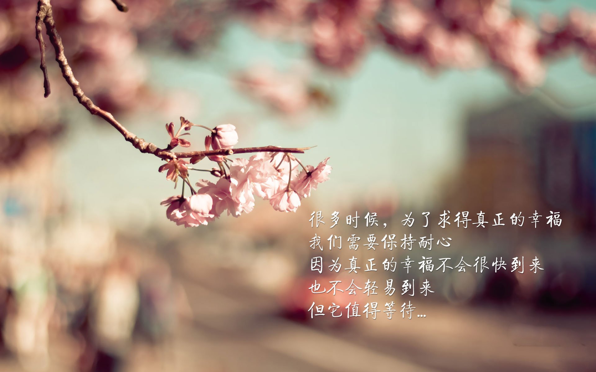 战术板在现场沟通中的使用频率是否影响比赛效果，战术板软件下载