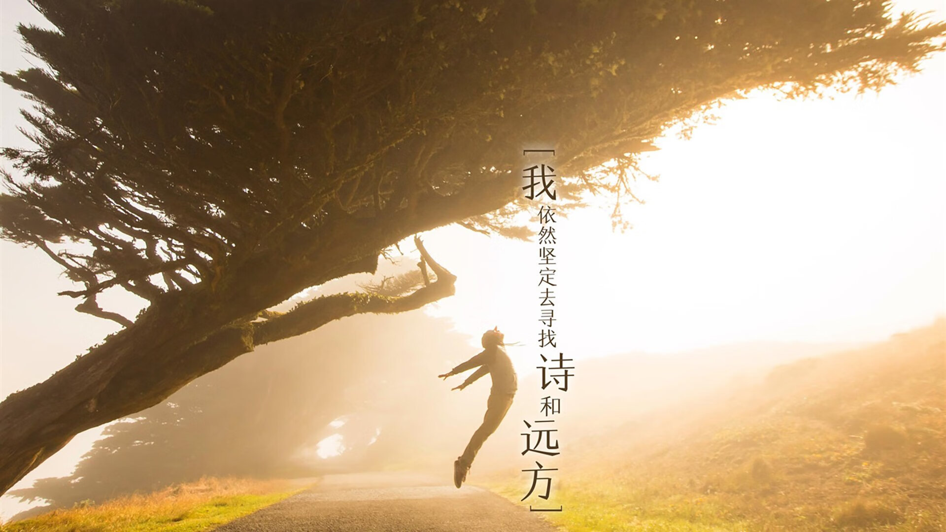 爱游戏娱乐网址-巴西队在南美预赛中领先，提前锁定出线